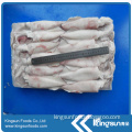 Good Quality Frozen Chinese Loligo